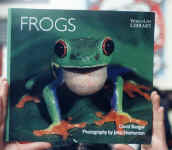 frogs.JPG (30699 bytes)