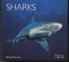 sharks1.jpg (28749 bytes)
