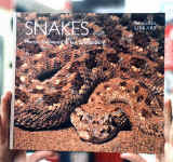 snakes.JPG (62692 bytes)