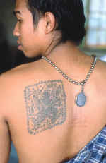 mm11.jpg (58252 bytes)