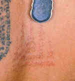 mm12.jpg (40501 bytes)