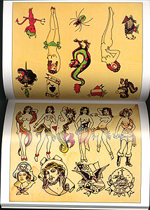 Spider Webb Historical Flash