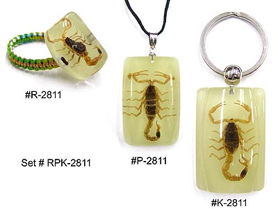 Scorpion Insect Acrylic Jewelry