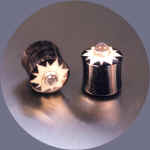 wb8156.JPG (21010 bytes)