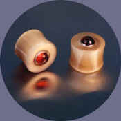 wb8187.JPG (18024 bytes)