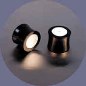 wb8191.JPG (14549 bytes)