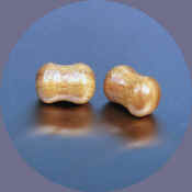 wb8196.JPG (16705 bytes)